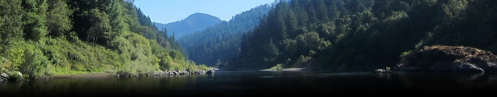 Northwest Bait and Scent